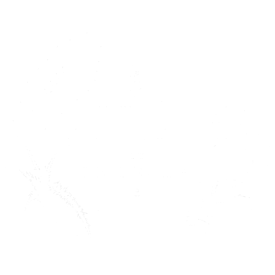 Sauvage by Le Pesage